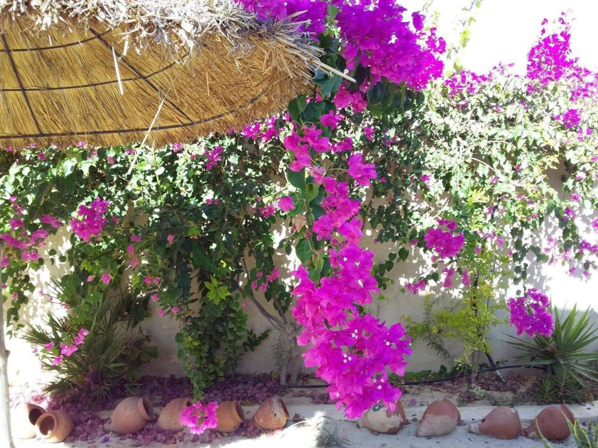Apartmán Dar Janis Djerba دار يانيس جربة Houmt Souk  Pokoj fotografie