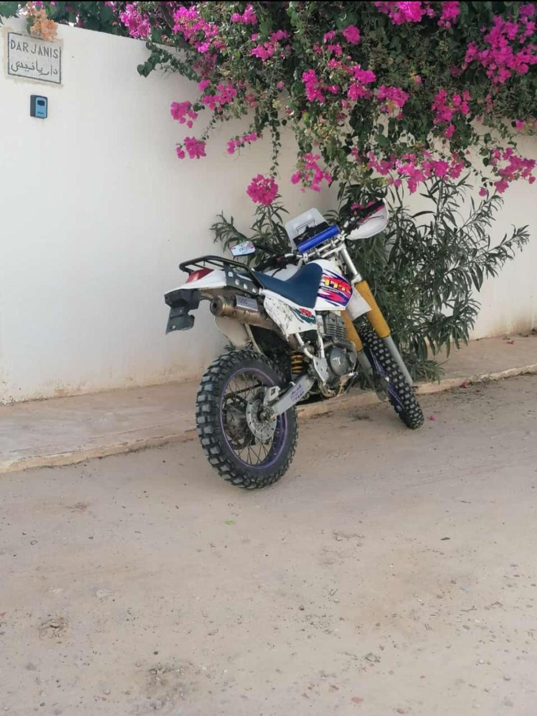 Apartmán Dar Janis Djerba دار يانيس جربة Houmt Souk  Exteriér fotografie